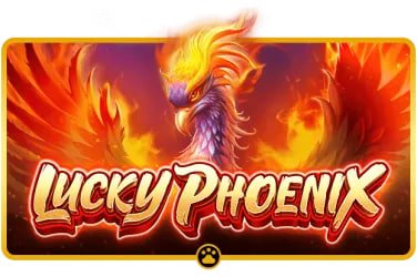 6666 bet app